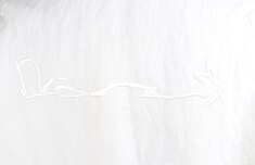 [럭셔리포원] 디올 X 캑터스 잭 한정판 로고 봄버 자켓 52(105~110) 썸네일 4