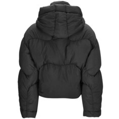 23FW FN-WN 넥 로고 자수 후드 패딩 자켓 A90550 900 썸네일 2