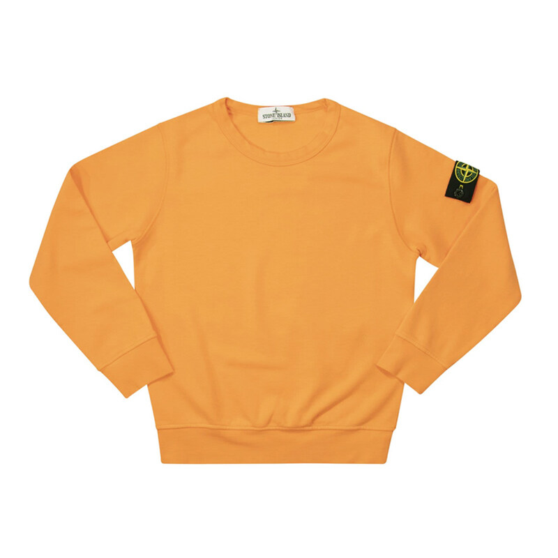 23SS 키즈 와펜 패치 크루넥 맨투맨 781661340 V0033 - Stone Island