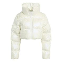 25FW 아디다스 숏패딩 JX2990 DOM 썸네일 1
