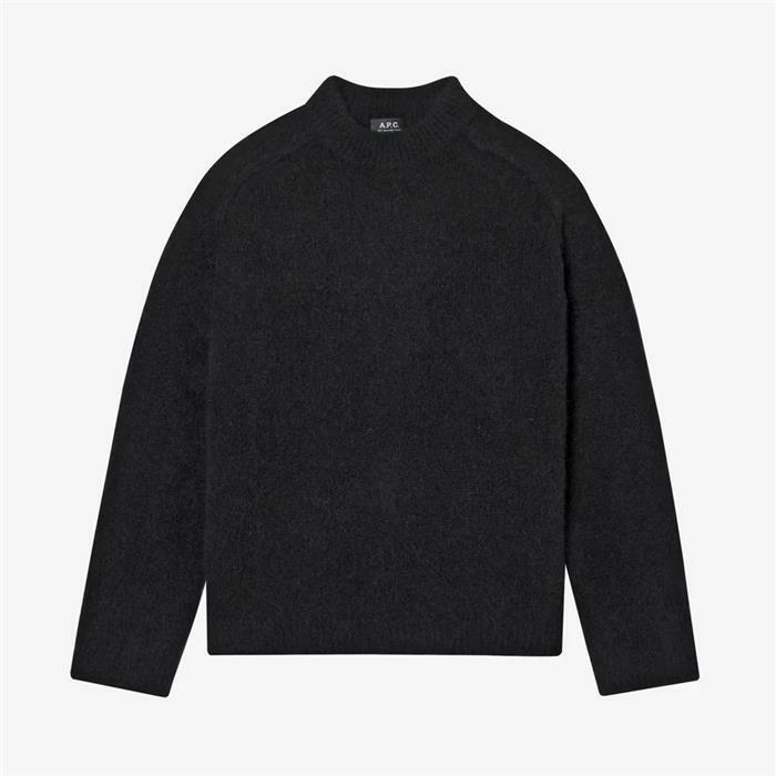 25FW 아페쎄 TYLER 스웨터 WPABE H23243 LZZ - A.P.C.