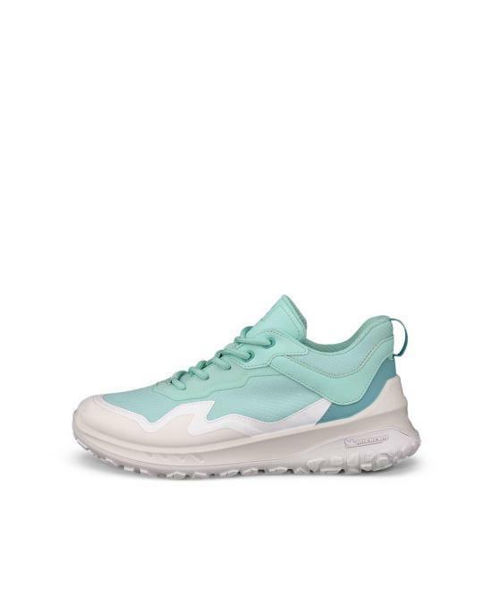 에코 스니커즈 82433361228 GREEN DOM - Ecco