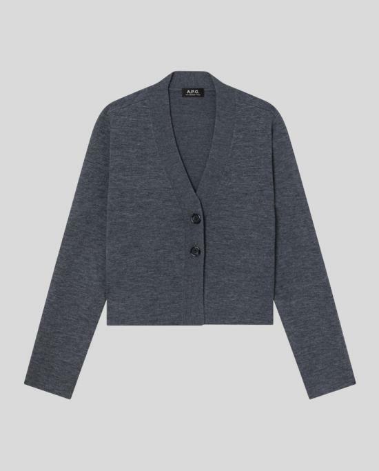 25FW 아페쎄 가디건 WVBEEF22328PLC CHARCOAL GREY DOM - A.P.C.