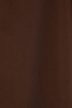 25SS 오라리 반팔 셔츠 A25SS03TL DARK BROWN DOM 썸네일 4