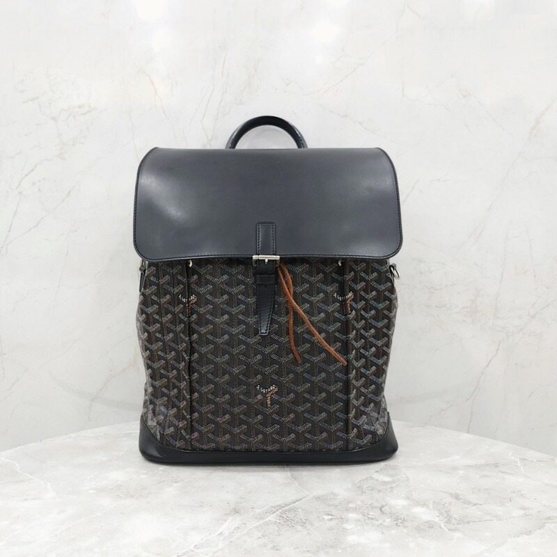 [럭스유] 고야드 알팡 백팩 MM - Goyard