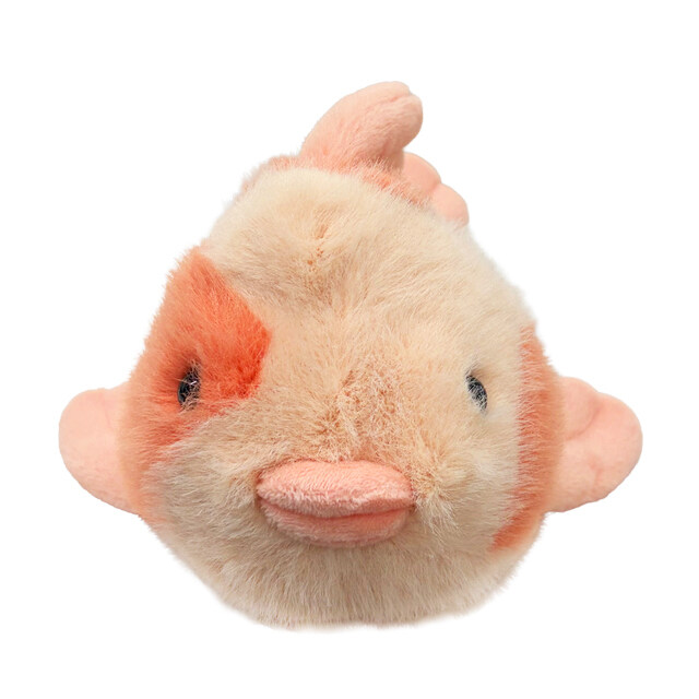 더팩토리 26SS 젤리캣 FANCY CARP 팬시 카프 (KO4C) - Jellycat