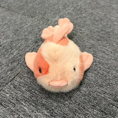 더팩토리 26SS 젤리캣 FANCY CARP 팬시 카프 (KO4C) 썸네일 1