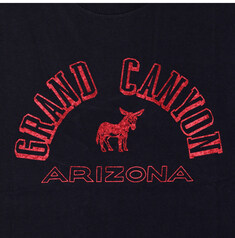 와일드동키 T-GRAND CANYON BLACK 공용 반팔티 썸네일 1