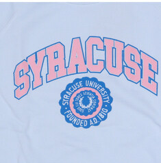 와일드동키 FR-SYRACUSE ESW LIGHT BLUE 공용 맨투맨 썸네일 1