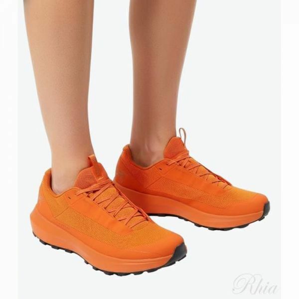 아크테릭스 노반 LD 4 GTX 맨 AFPFM10397 CCJ 노르반 M - Arcteryx