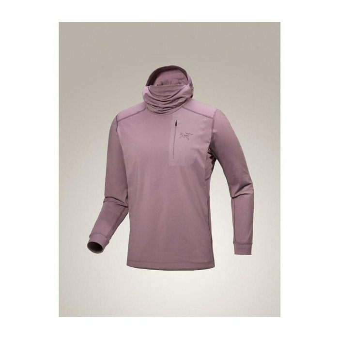 아크테릭스 로 LT 후디 맨 RHO M ATOFMX9423INT - Arcteryx