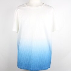 디올 오블리크 그라데이션 반팔 티셔츠 XL 썸네일 1