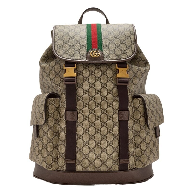 26SS 구찌 오피디아 라지 백팩 839110 FAEWQ 9845 - Gucci